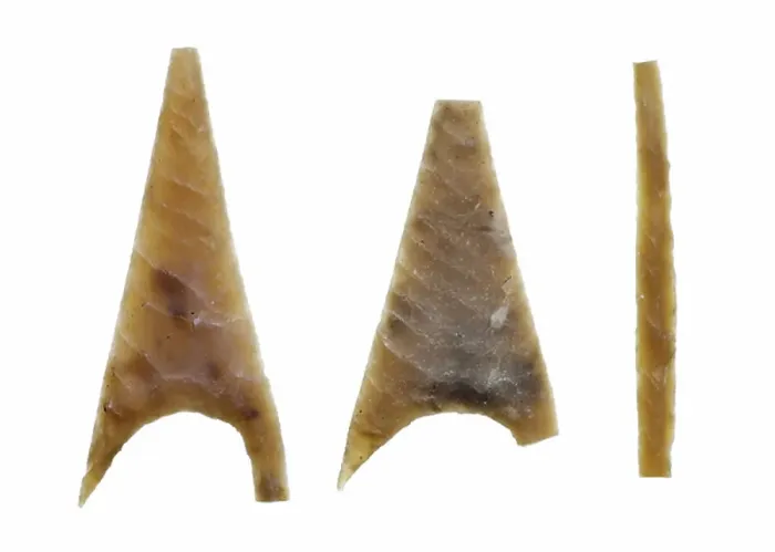 Framed Print : Neolithic arrowheads