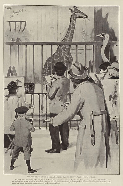 The New Giraffe at the Zoological Societys Gardens, Regents Park, Artists on Duty (litho)