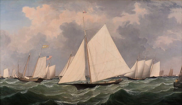New York Yacht Club Regatta, 1856 (oil on canvas)