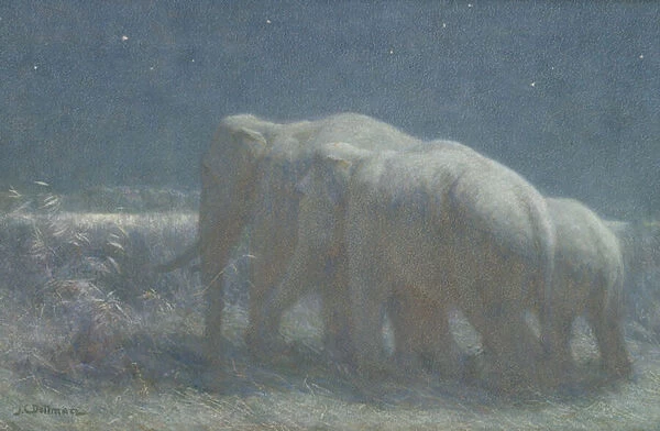 Night, 1908 (w  /  c and chalk on paper)