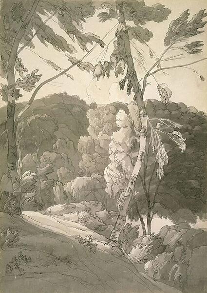 No. 1091 A Wooded Landscape (A Scene at Indinowle) 1783 (pencil