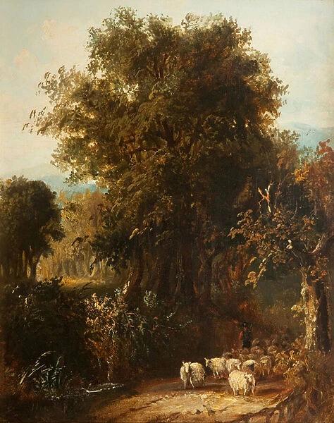 Norfolk Wooded Landscape (oil on canvas)