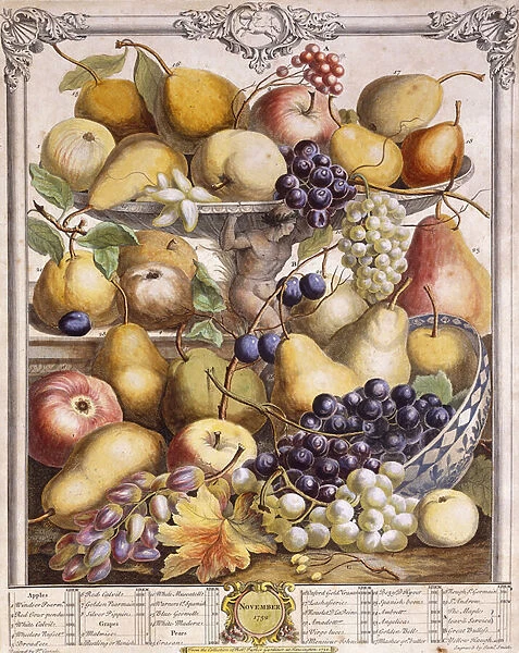 November 1732, showing seasonal apples, pears, grapes etc, 1732 (hand-coloured engraving)