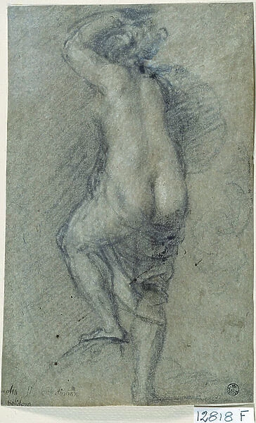 Nude Woman (chalk on paper)