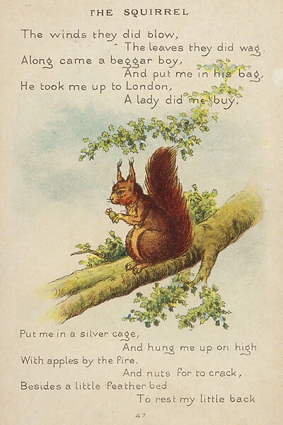 Nursery rhyme: The Squirrel (chromolitho)