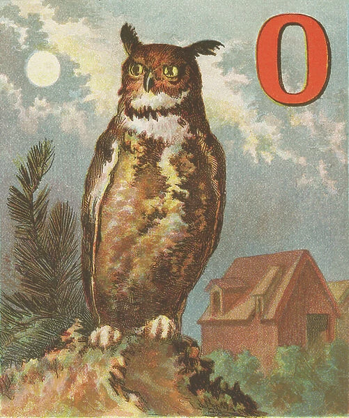 O: O for the Owl, That Prowling at Night, Steals Chicks from Our Barn in the Quiet Moonlight. 1870 (illustration)