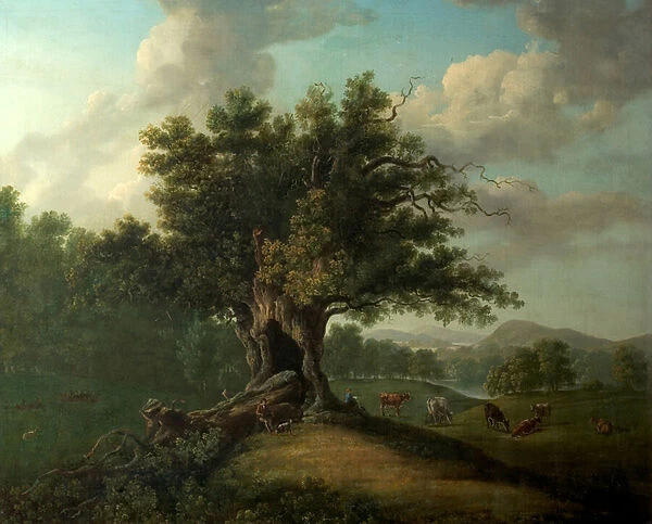 An Oak in Moccas Park, Herefordshire (oil on canvas)