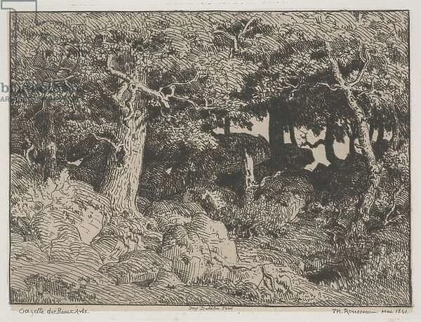 Oak Trees and Rocks, 1861 (etching)