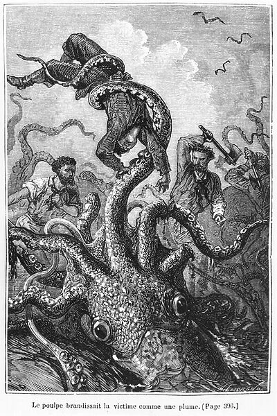 The Octopus Attacking the Nautilus, illustration from 20