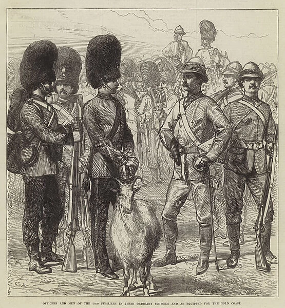 Officers and Men of the 23rd Fusiliers in their Ordinary Uniform and as equipped for the Gold Coast (engraving)