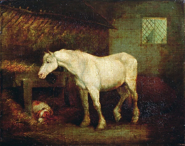 An Old Grey Mare at a Manger