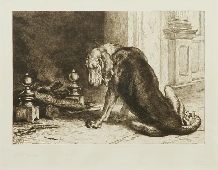 Framed Print : An Old Hound (etching)