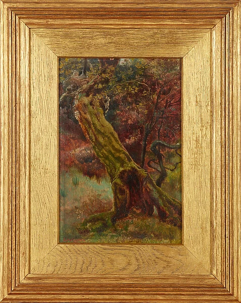 An Old Stump in Epping Forest (oil on panel)