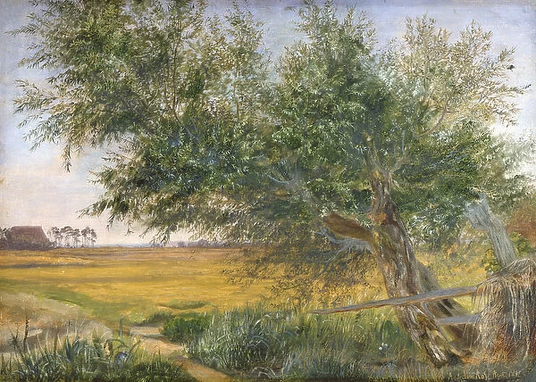 The Old Tree, 1842 (oil on paper mounted on card)