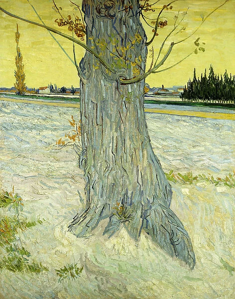 The Old Tree; Le Vieil If, 1888 (oil on canvas)