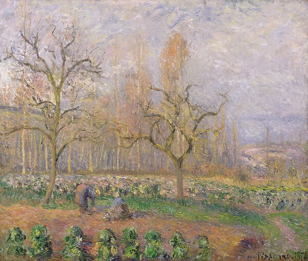 Orchard at Pontoise, 1878 (oil on canvas)