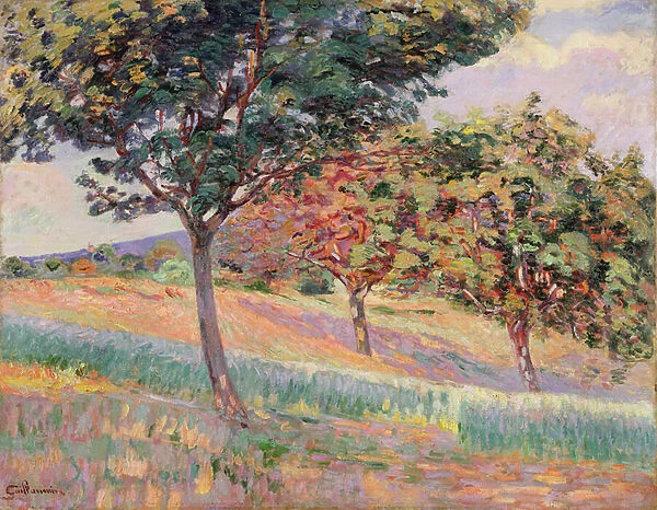 Orchard at St. Cheron, 1893 (oil on canvas)