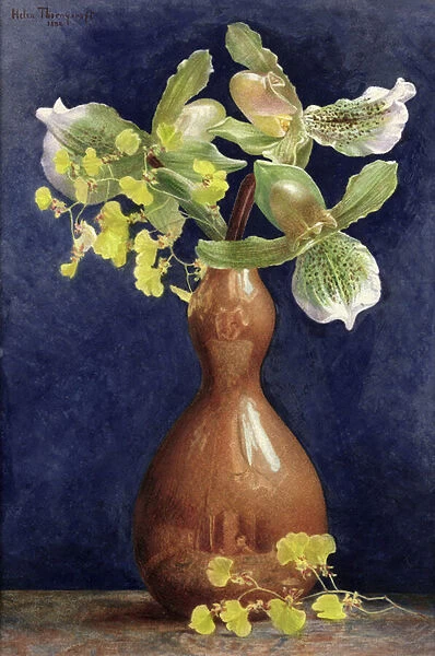 Orchids in a Copper Vase, 1881 (pencil and w  /  c heightened with gouache on paper)