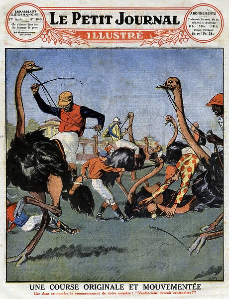 An original and eventful race: ostrich race in Australia mounted by jockeys