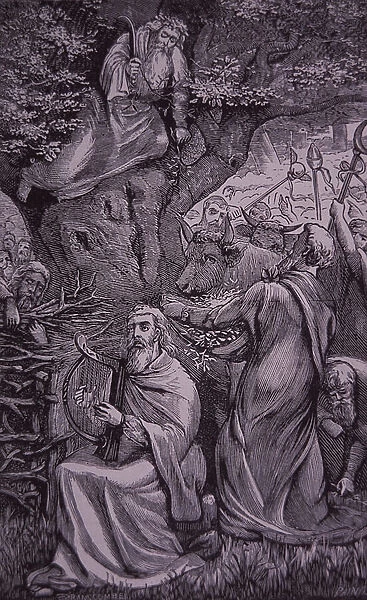 Origins of Christmas - Druids cutting mistletoe, late 19th century (engraving)