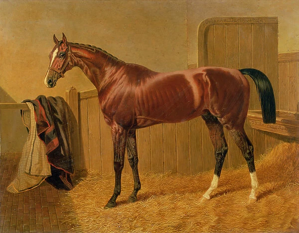 Orlando, Winner of the Derby in 1844