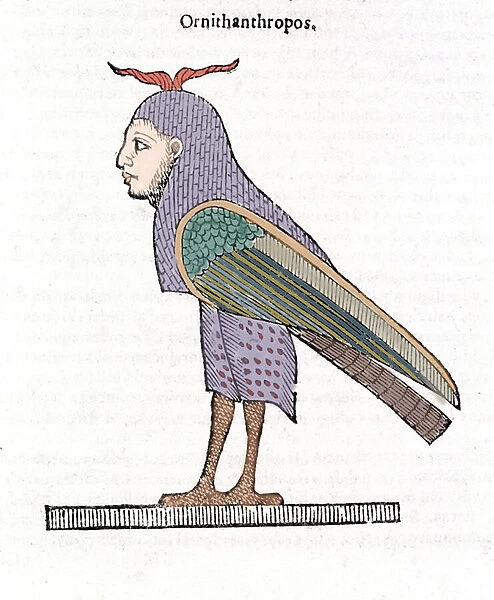 Ornithantropos. Bird with human head. Ulisse Aldrovandi '