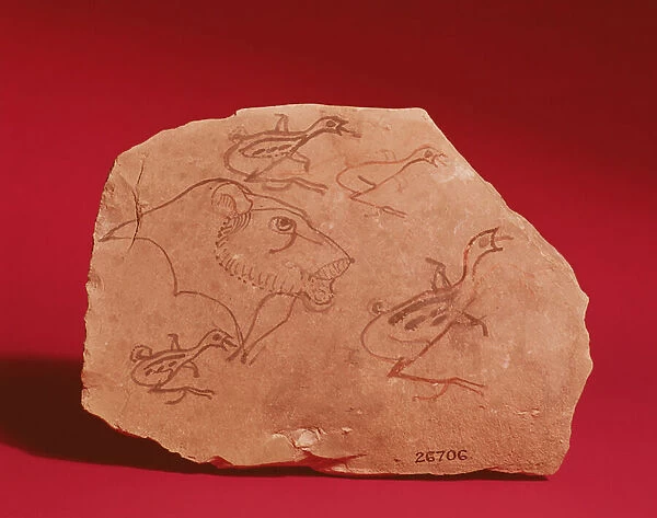 Ostrakon depicting the head of a lion and four quail chicks, probably from Thebes