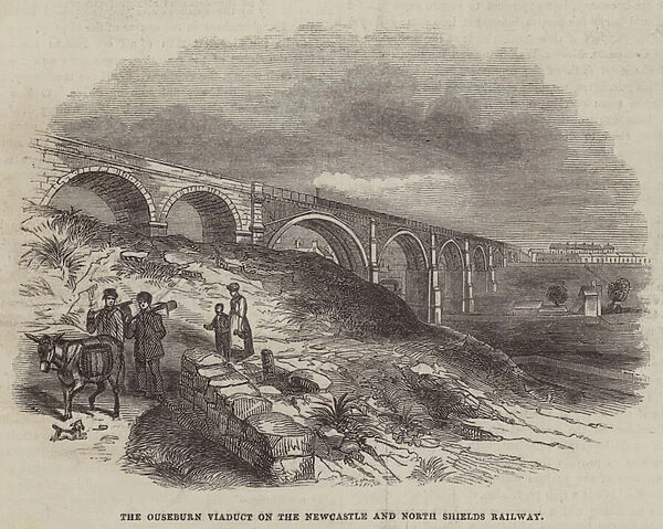The Ouseburn Viaduct on the Newcastle and North Shields Railway (engraving)