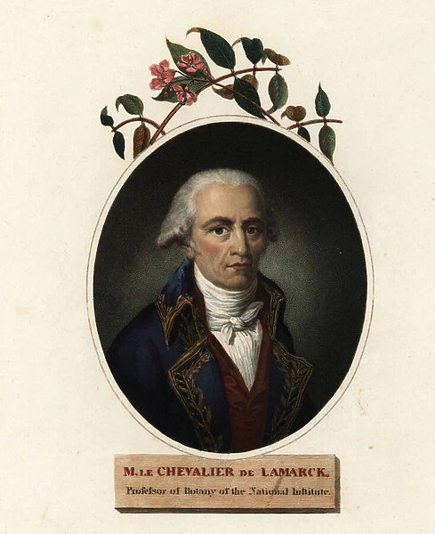 Oval portrait of Jean-Baptiste Lamarck, French naturalist. 1806 (engraving)