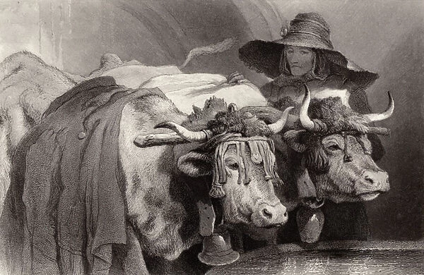 Oxen at the Tank, Geneva, Switzerland (engraving)