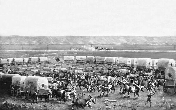 Oxen being yoked up in a corral of covered wagons in a painting by W. H