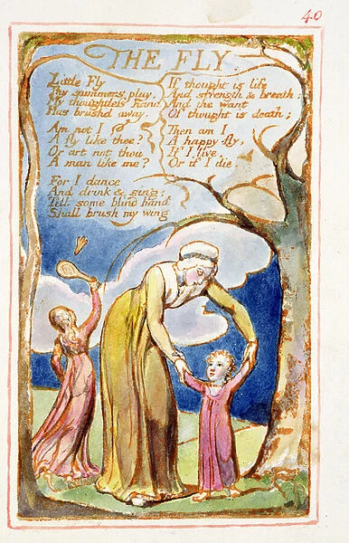 P. 125-1950. pt40 The Fly: plate 40 from Songs of Innocence and of Experience (copy a) c