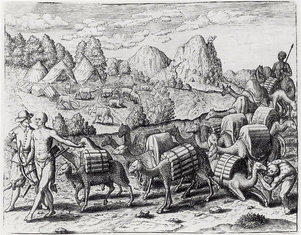 Pack Train of Llamas Laden with Silver from Potosi Mines of Peru, engraved by Theodore de Bry