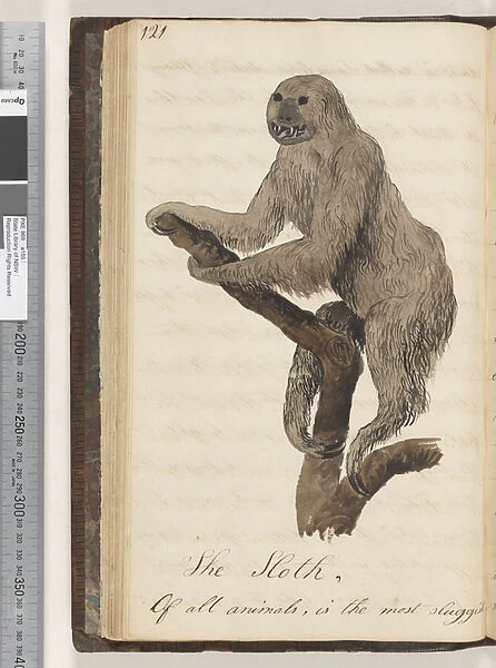Page 121. The Sloth, 1810-17 (w  /  c & manuscript text)