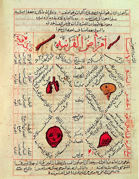 Page from the Canon of Medicine by Avicenna (Ibn Sina) (980-1037) (vellum)