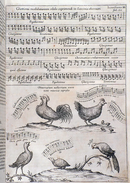 Page from Musurgia (1650)