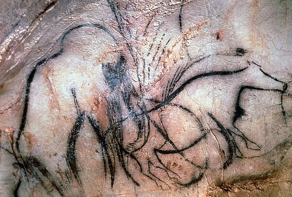 Paintings depicting mammoth and cattle, from the Chapel of the Mammoths (cave painting)