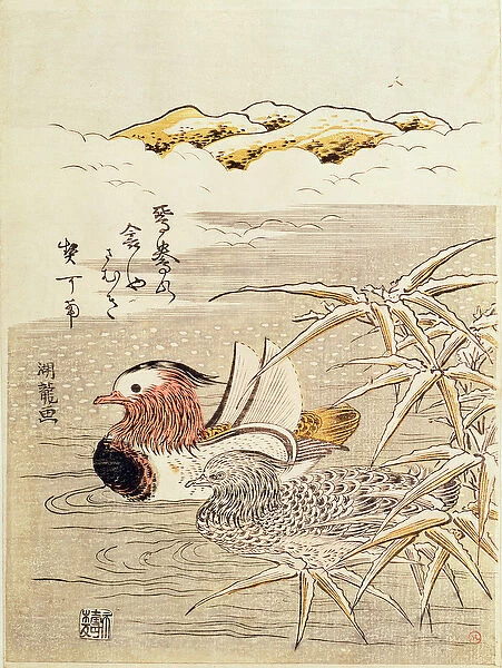 A Pair of Mandarin Ducks, (colour woodblock print)