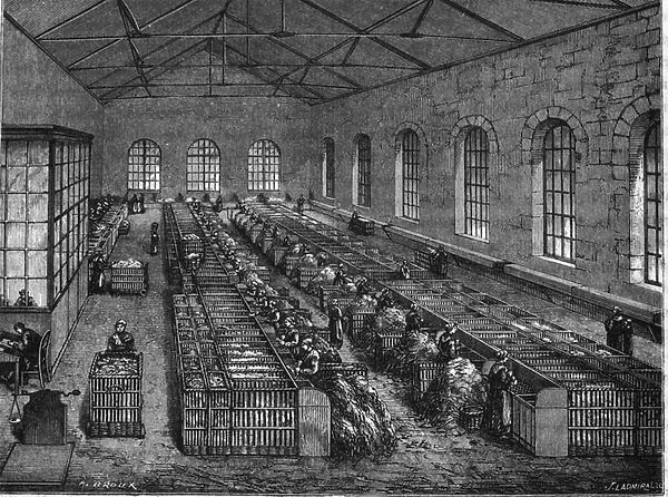 Paper making in the 19th century
