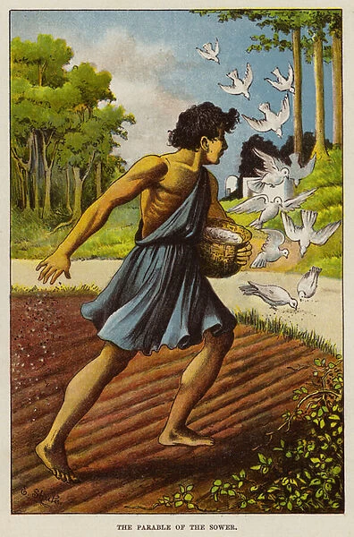 Parable of the sower (chromolitho)