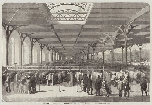 The Paris Agricultural Exhibition, the Cattle, General View (engraving)