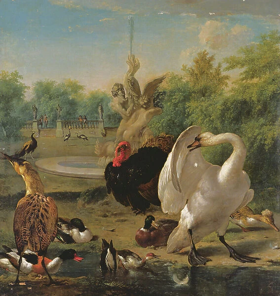 A Park with Swan and Other Birds (oil on canvas)