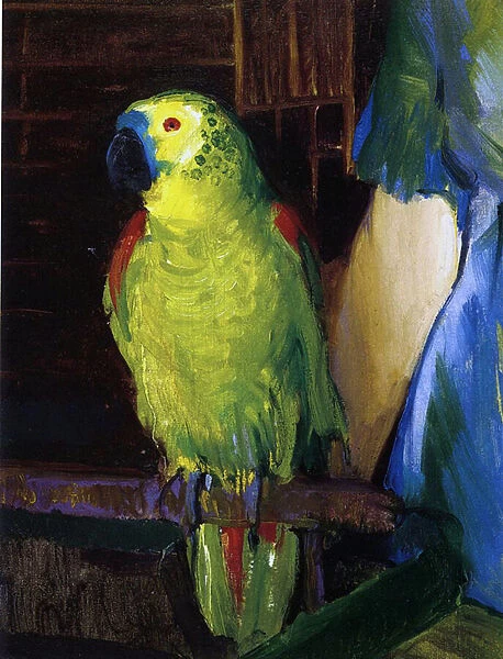 Parrot, 1915 (oil on canvas)