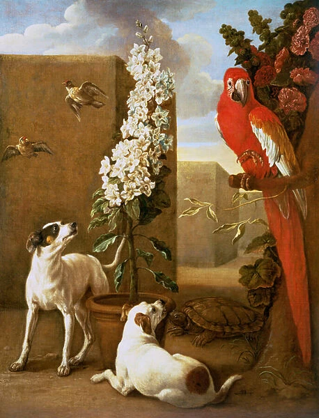 Parrot with Dogs
