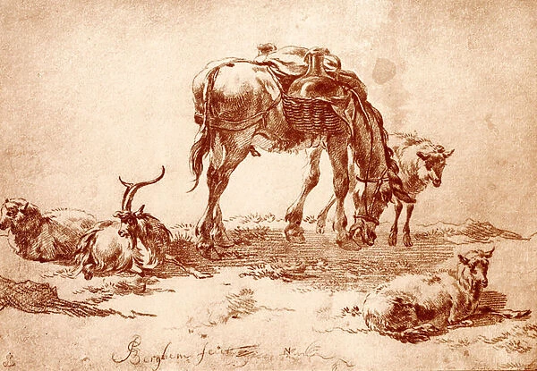 Pasture with donkey, goat and sheep