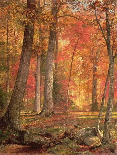 Path in the Forest, 1865 (oil on panel)