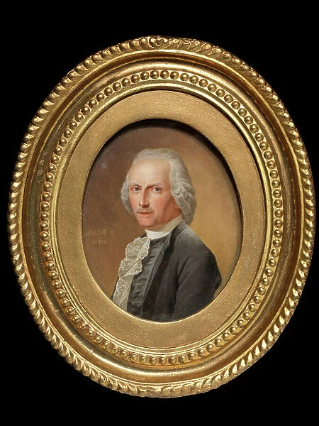 Paulus de Cock (oil on canvas)