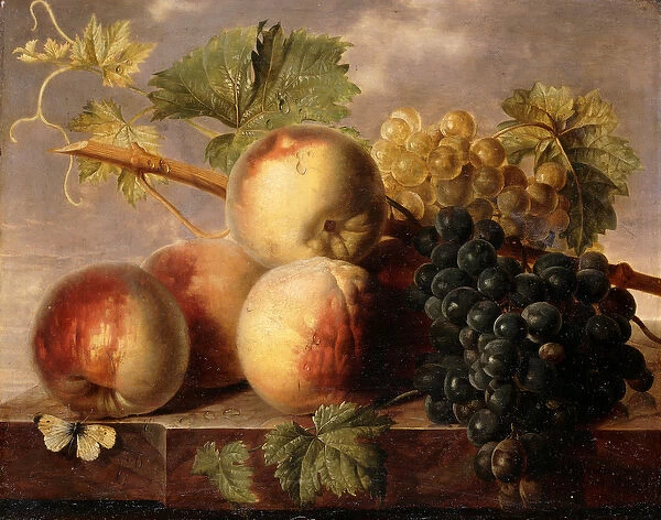 Peaches and Grapes with a Cabbage White on a Marble Ledge, (oil on marble)