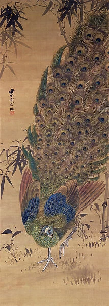 Peacock and bamboo (ink and colours on silk)