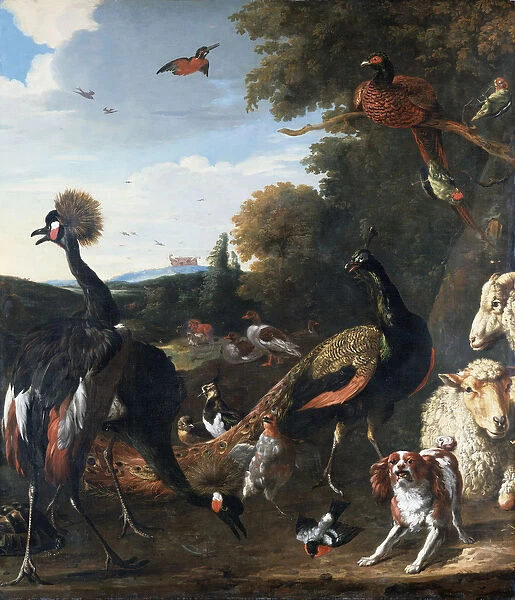 Peacocks and other birds, with a sheep and dog in a landscape (oil on canvas)